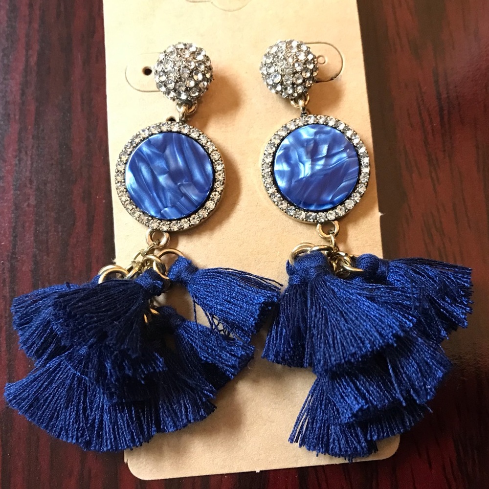 Gorgeous Blue Tassel Earrings!